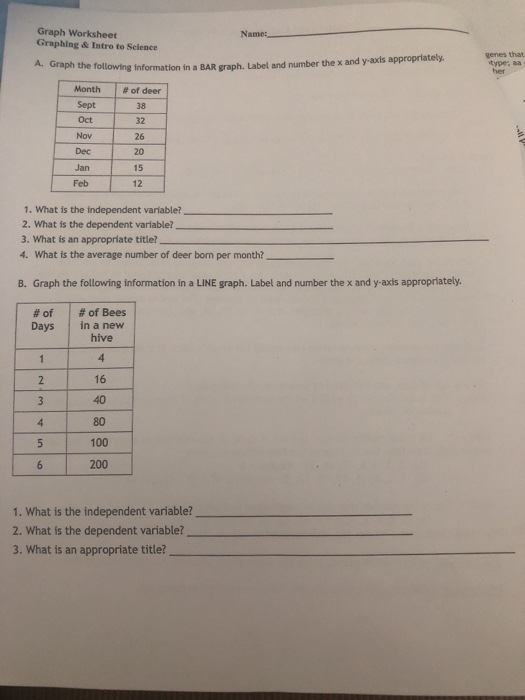 Graph Worksheets Graphing Intro To Science