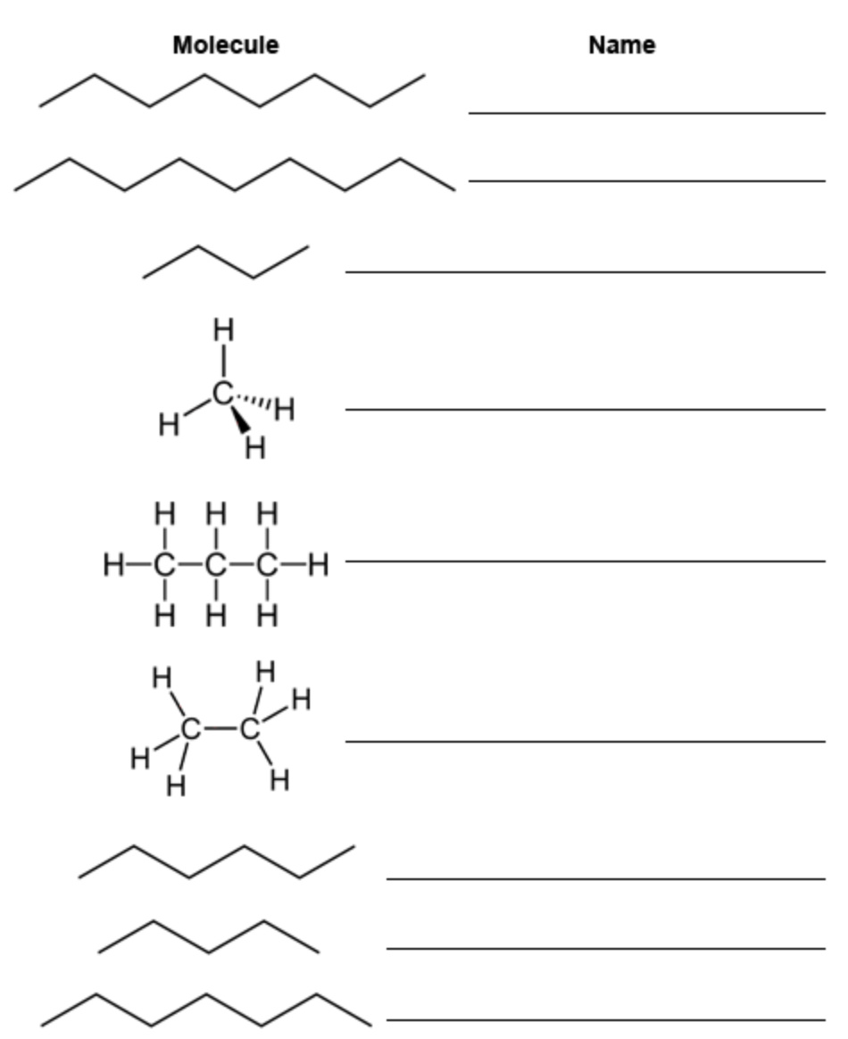 Solved Write the name of the alkane next to the drawing of