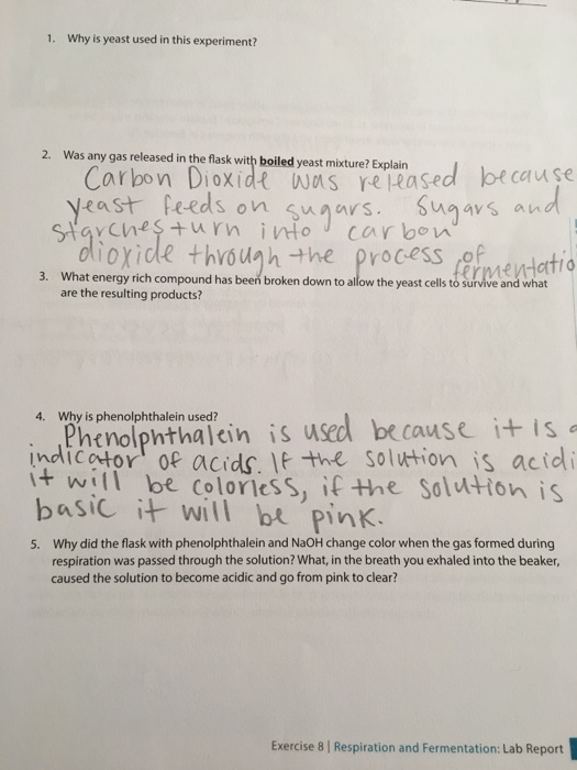 Solved 1. Why is yeast used in this experiment? 2. Was any