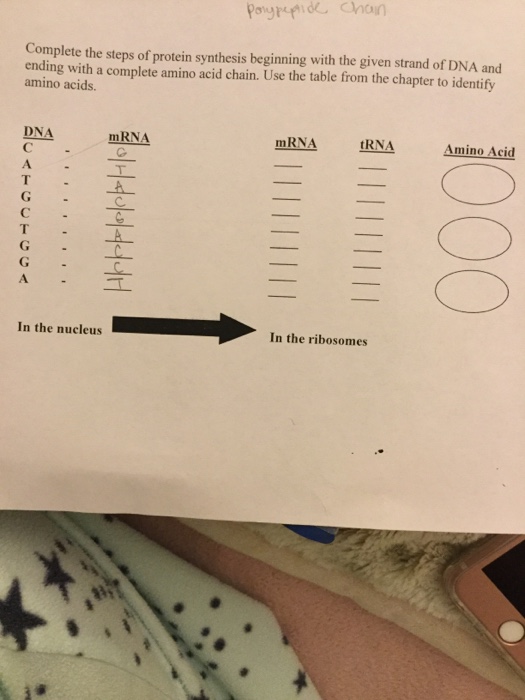 Solved Complete the steps of protein synthesis beginning | Chegg.com