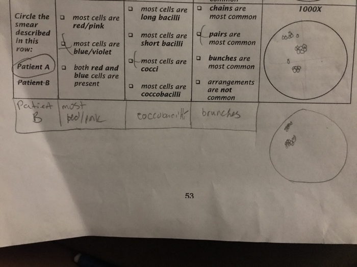 Solved 3. Patient B's physician is considering either | Chegg.com