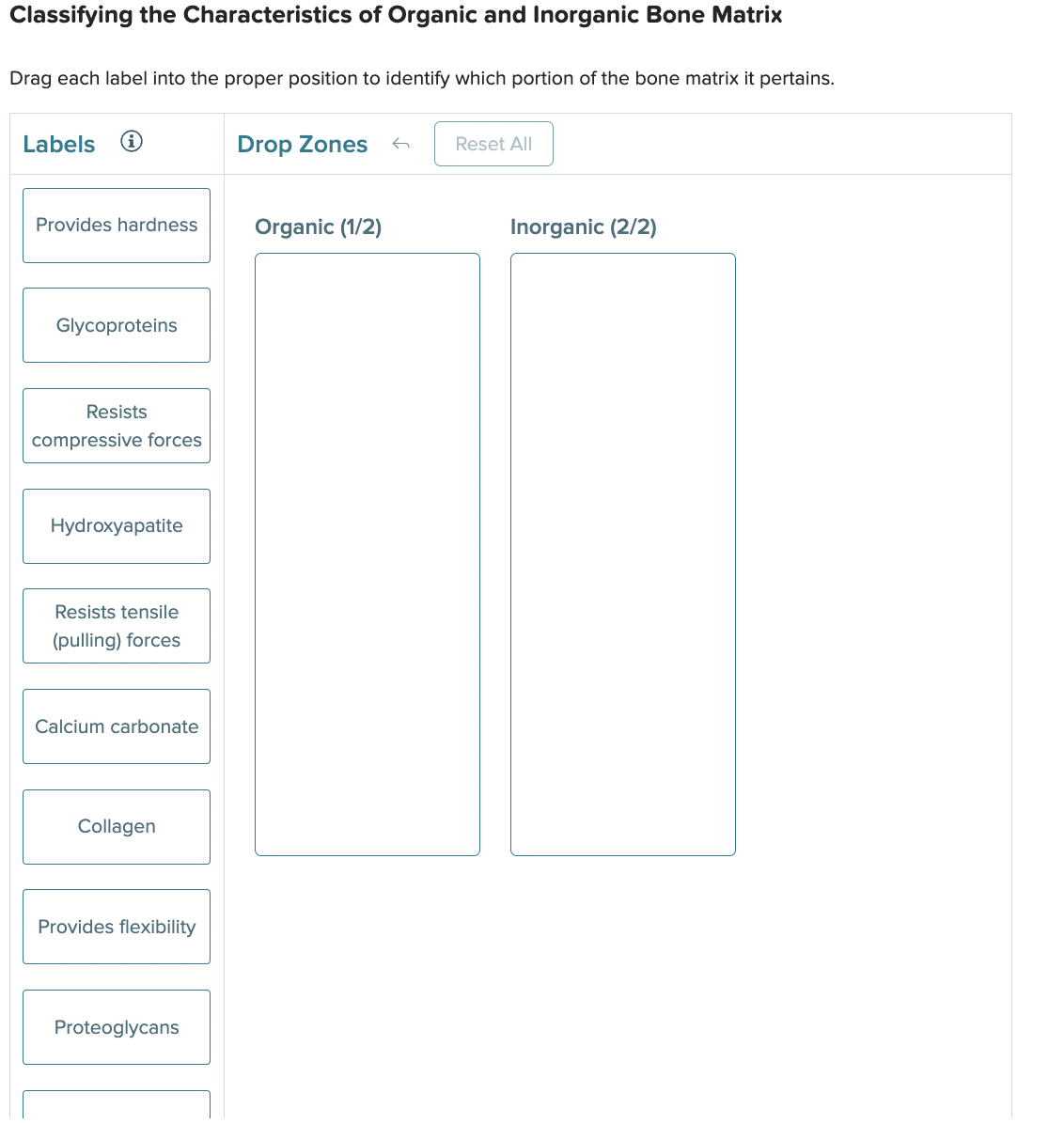 Drag each label into the proper position to identify | Chegg.com