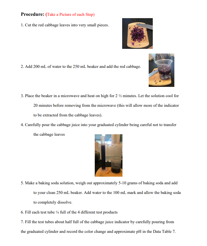 Solved Experiment 7 Red Cabbage pH Indicator Objective In
