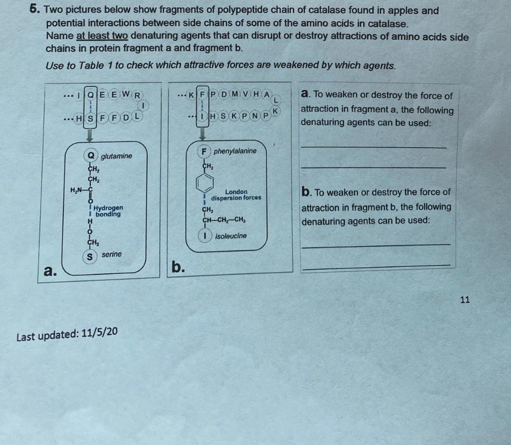 Solved 5 Two Pictures Below Show Fragments Of Polypeptid Chegg Com