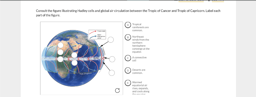 Solved Consult The Figure Illustrating Hadley Cells And | Chegg.com