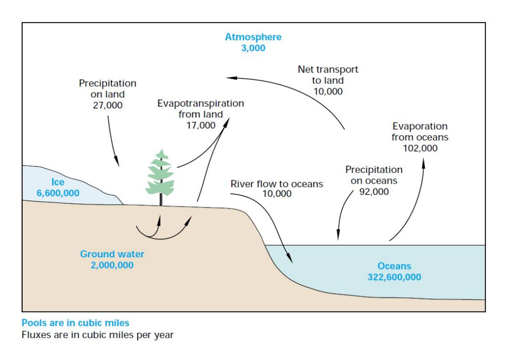 Solved If every person on Earth consumed as much water as
