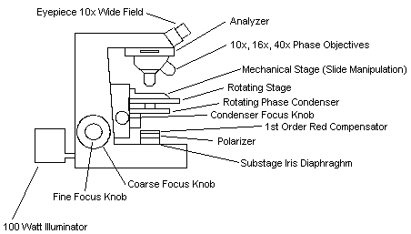 Solved Metallic materials it is often to analyze the phases | Chegg.com