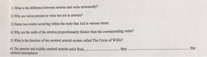 Solved 1 What Is The Difference Between Arteries And Veins Chegg
