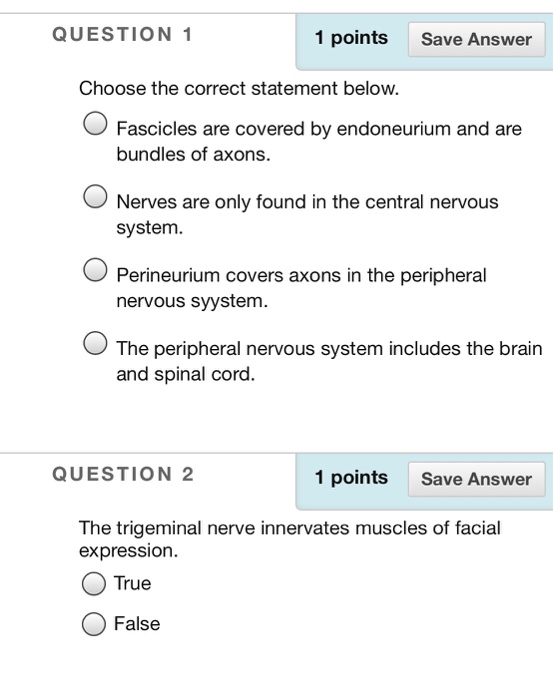 Solved QUESTION 1 1 points Save Answer Choose the correct | Chegg.com