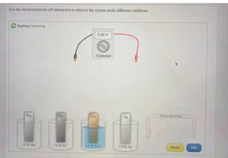 Solved Use The Electrochemical Cell Interactive To Observe | Chegg.com