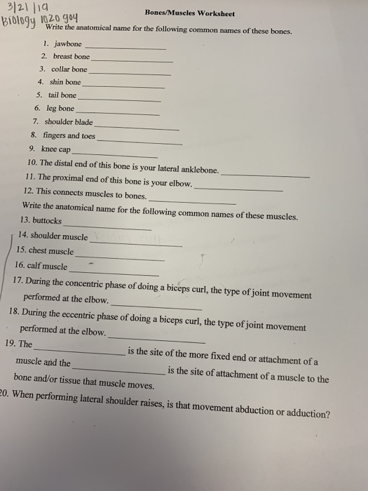 Solved Bones/Muscles Worksheet 1020 go4 Write the anatomical | Chegg.com