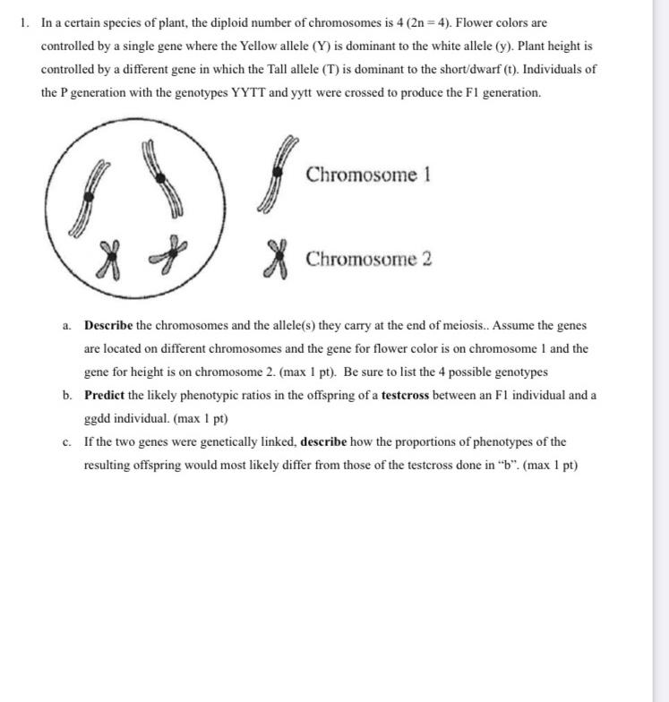 Solved 1. In a certain species of plant, the diploid number | Chegg.com