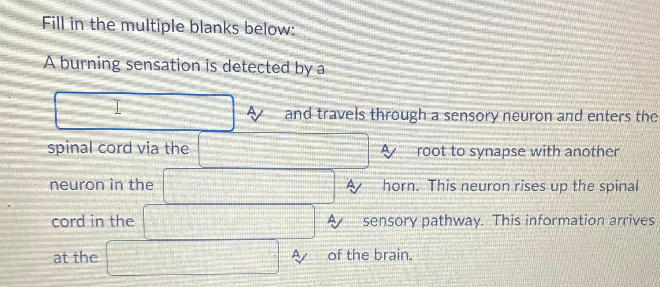 solved-fill-in-the-multiple-blanks-below-a-burning-chegg