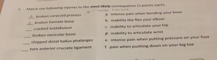 Solved 2. Match the following injuries to the most likely | Chegg.com