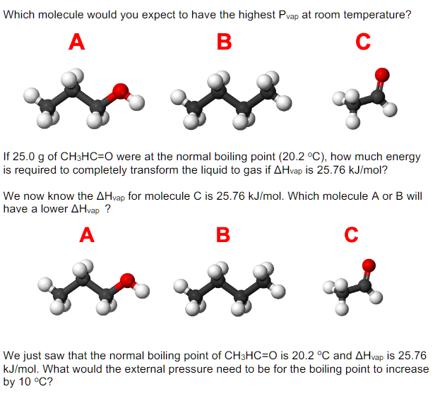 Solved Which molecule would you expect to have the highest | Chegg.com