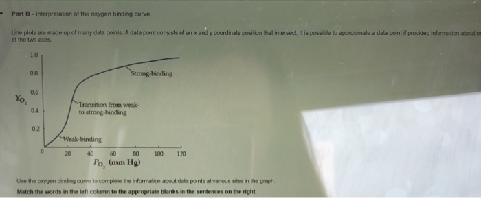 Solved Part B-Interpretation of the oxygen binding curve Lne | Chegg.com
