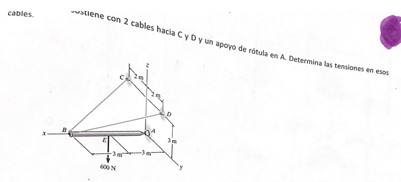 cables. usclene con 2 cables hacia C y D y un apoyo de rótula en A. Determina las tensiones en esos