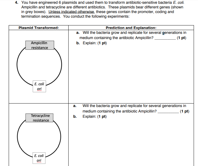 Solved You Have Engineered Plasmids And Used Them To Chegg Com