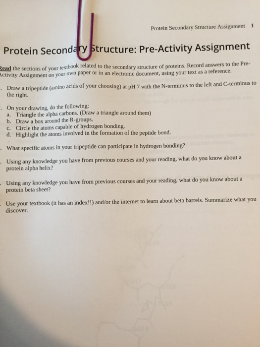 Solved Protein Secondary Structure Assignment 1 Protein | Chegg.com