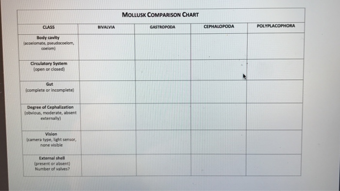 MOLLUSK COMPARISON CHART CLASS Body cavity coelom) | Chegg.com