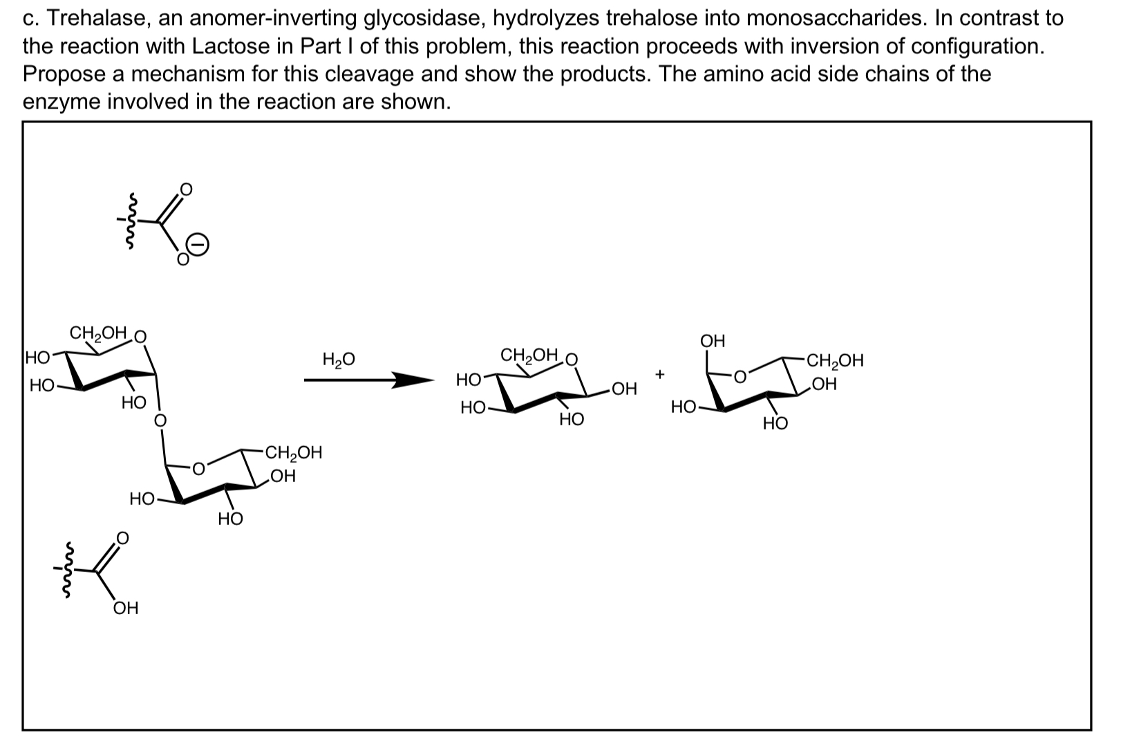 Solved c. Trehalase, an anomer-inverting glycosidase, | Chegg.com