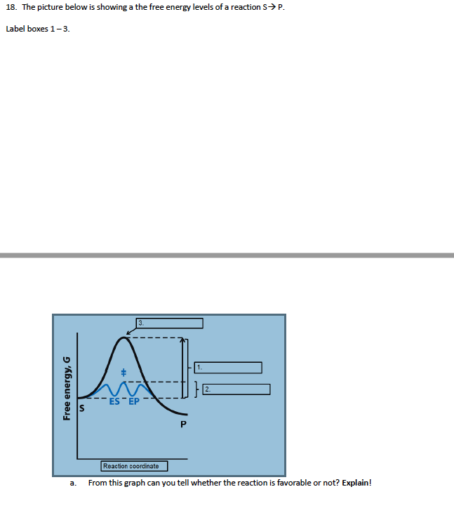 Solved 18. The picture below is showing a the free energy | Chegg.com