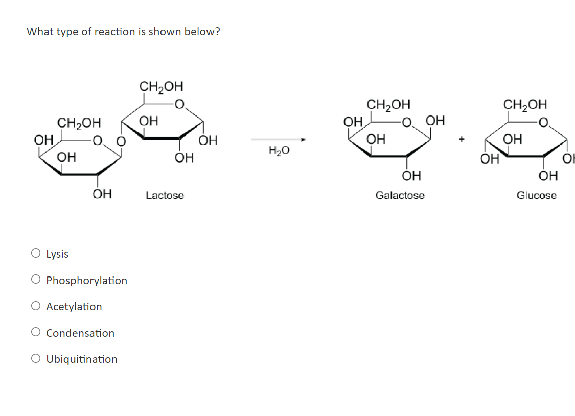 What type of reaction is shown below?
CH?OH
CH2OH
CH?OH
CH?OH
OH
??
??
??
?????
OH
??
??
H20
??
OH
OH
??
??
??
Lactose
Galact