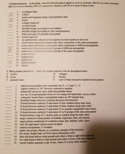 Solved Protein structure. In the blank, write (T) if the | Chegg.com