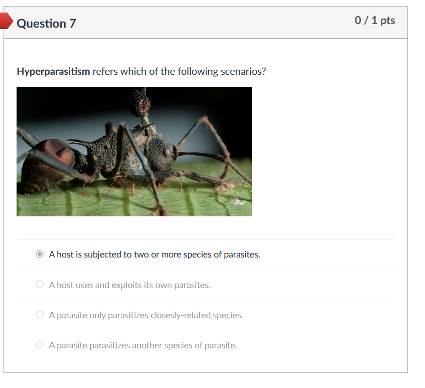 Solved Question 7 0 / 1 pts Hyperparasitism refers which of | Chegg.com