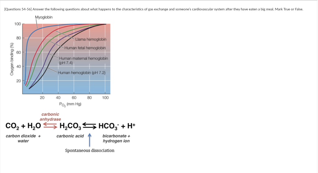Solved Spontaneous dissociation 54. Hemoglobin's affinity
