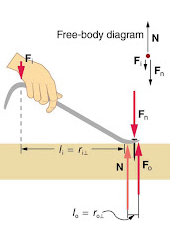 Solved A force of 51.6 N is exerted by a person on a nail | Chegg.com