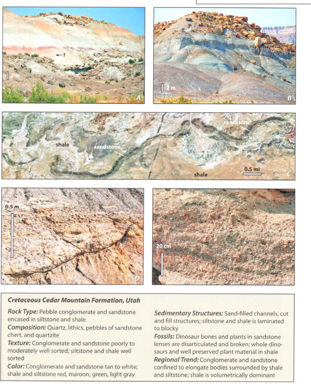 Solved shale ston 0.5 mi shale 0 c Cretaceous Cedar Mountain | Chegg.com