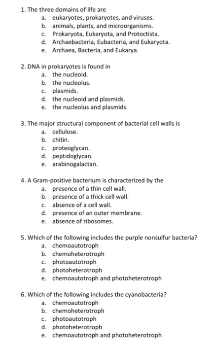 Biology Study Guide Prokaryotes Bacteria And Archaea - basicseasysite