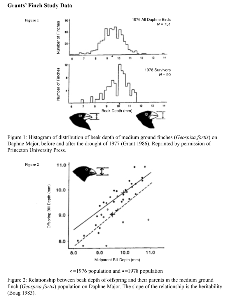 grants research on finches