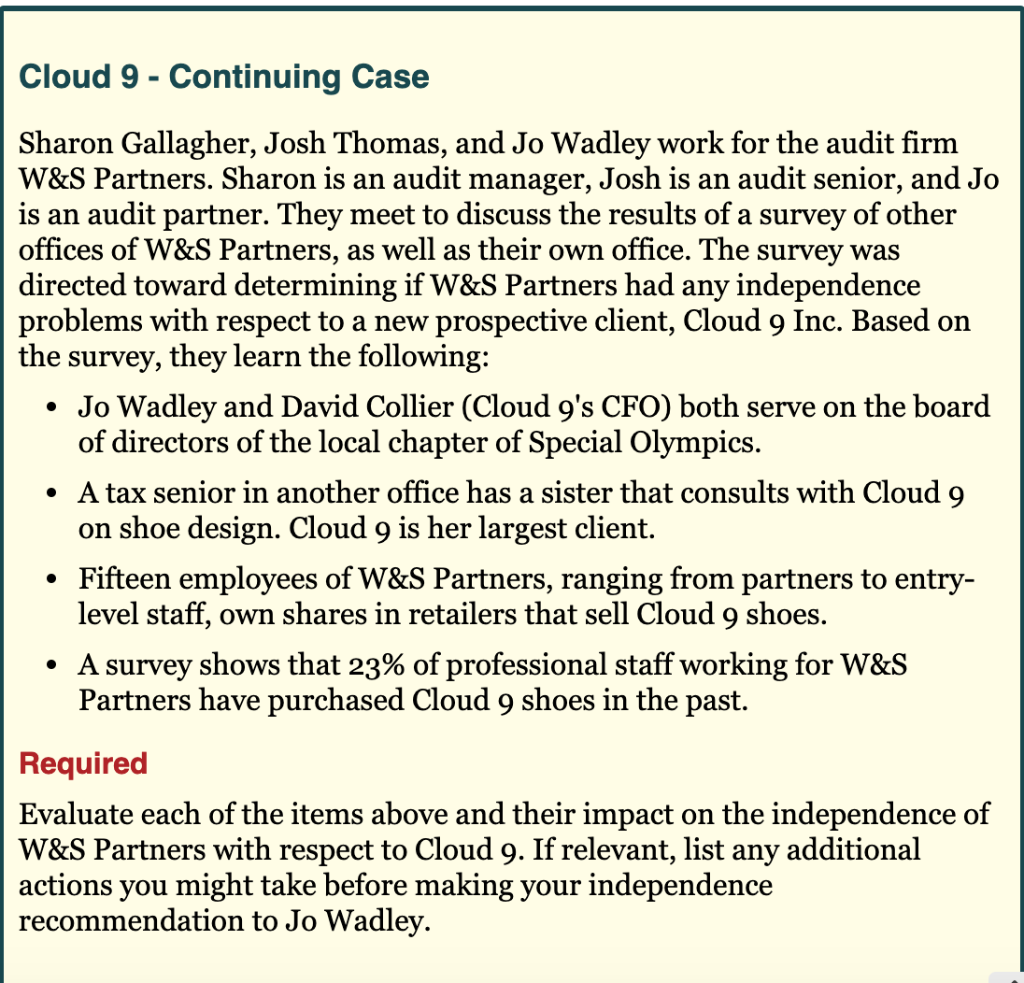 cloud 9 audit case study solution