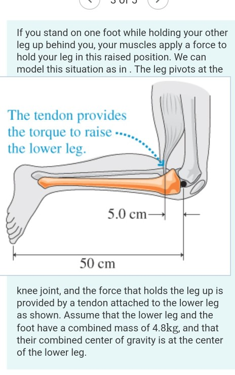 Solved If You Stand On One Foot While Holding Your Other Leg | Chegg.com