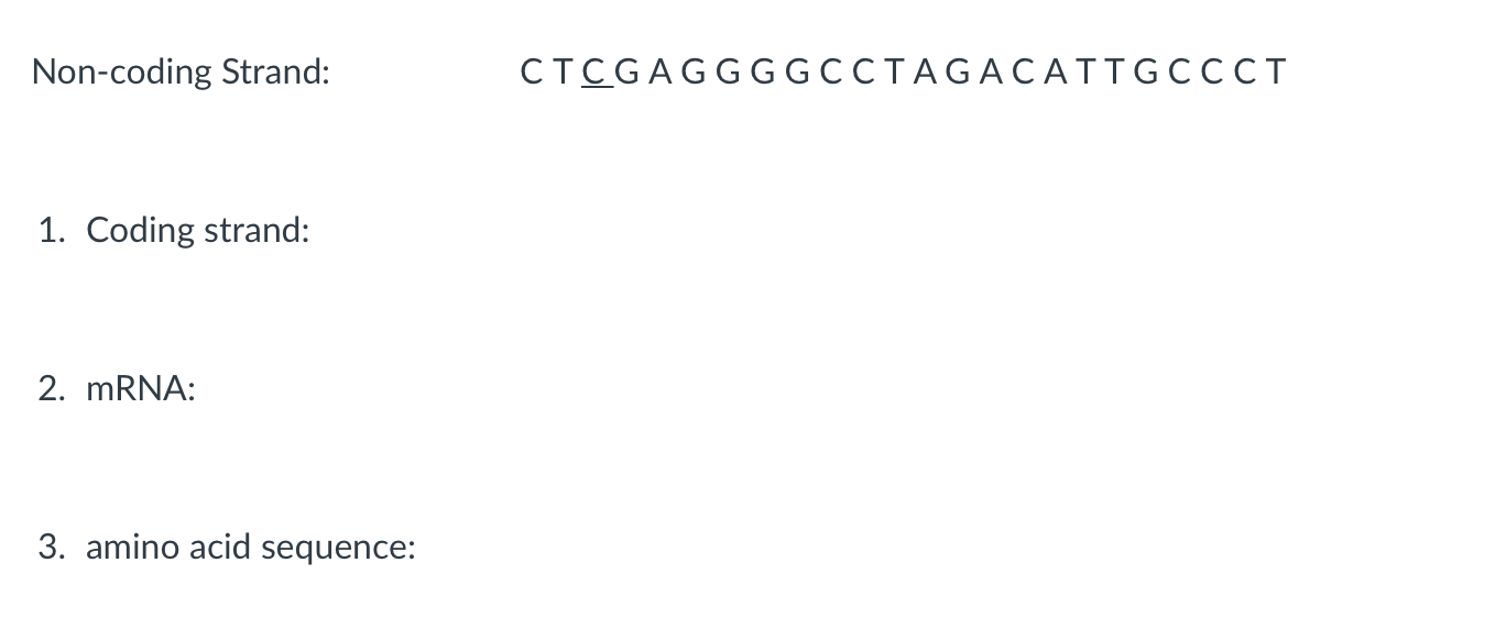 Solved Non-coding Strand: CTCGAGGGGCCTAGACATTGCCCT 1. Coding | Chegg.com