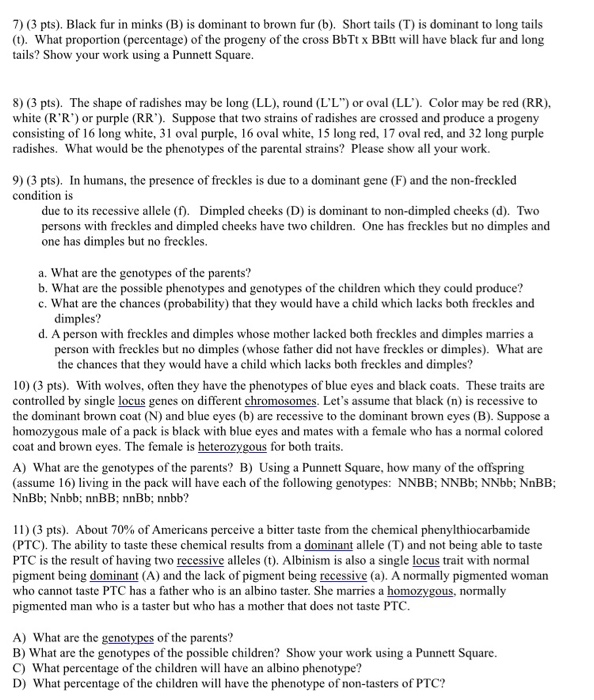 Solved 7) (3 Pts). Black Fur In Minks ( B) Is Dominant To | Chegg.com