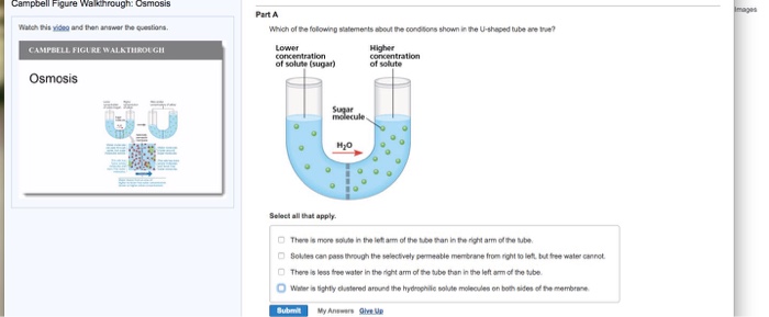 Solved Campbell Figure Walkcthrough: Osmosis atch this video | Chegg.com