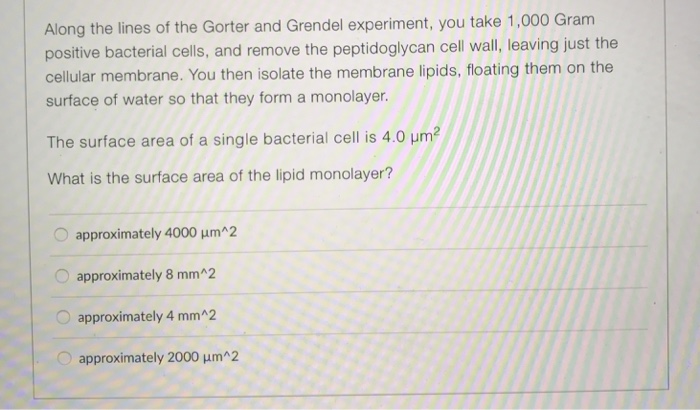 gorter and grendel experiment