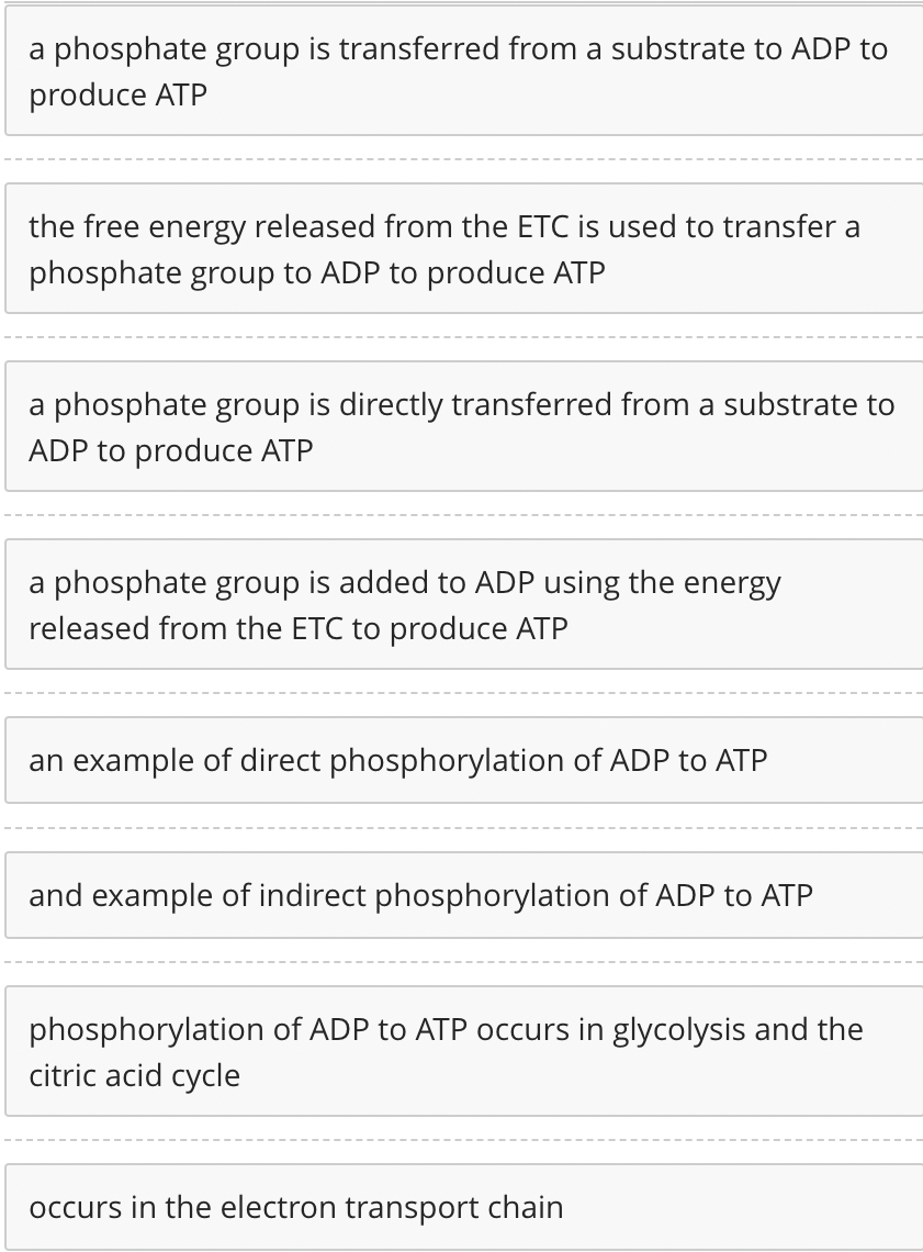 Solved Phosphorylation of ADP to produce ATP is achieved by