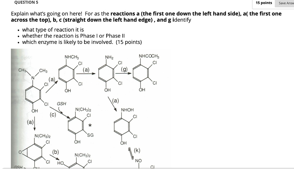 QUESTION 5 15 points Save Answ Explain what's going | Chegg.com