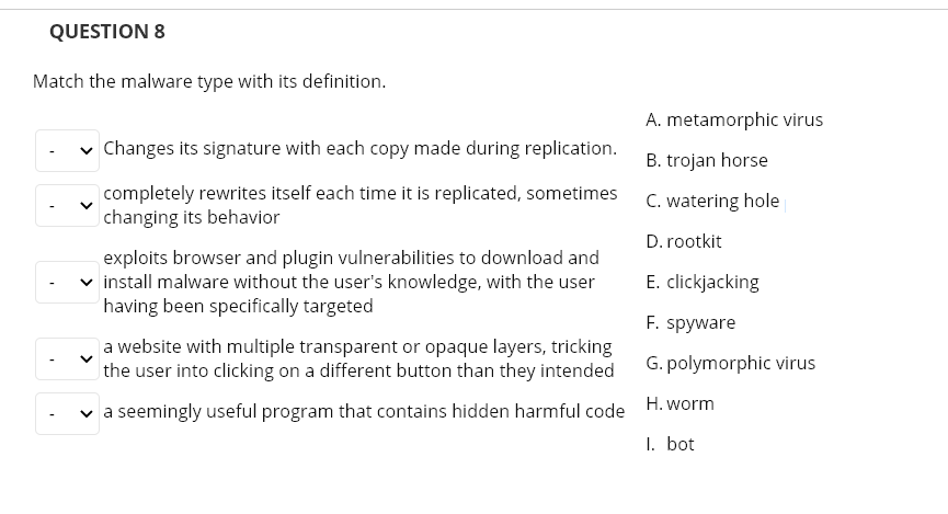 malware definition