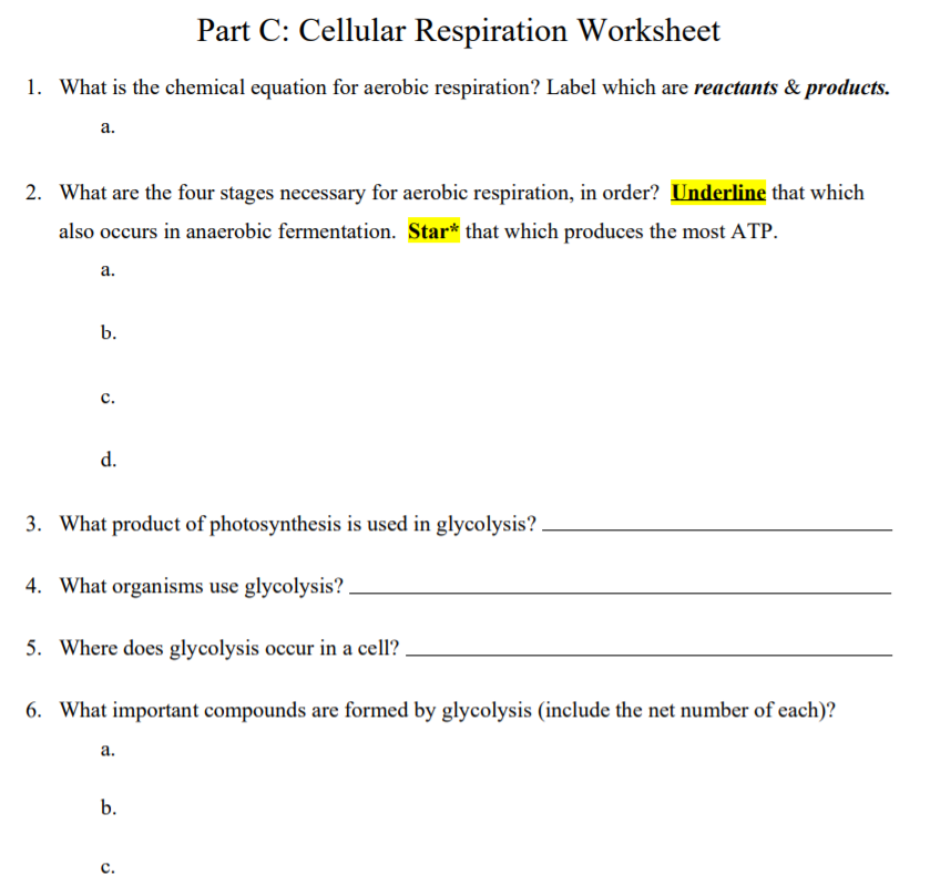 Part C Cellular Respiration Worksheet 1 What Is The Chegg Com