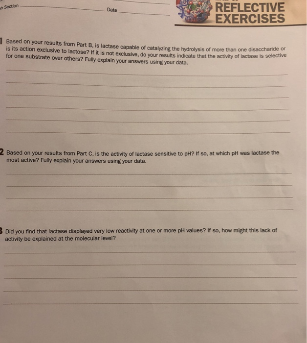 Solved REFLECTIVE EXERCISES Section b Date 1 Based on your | Chegg.com