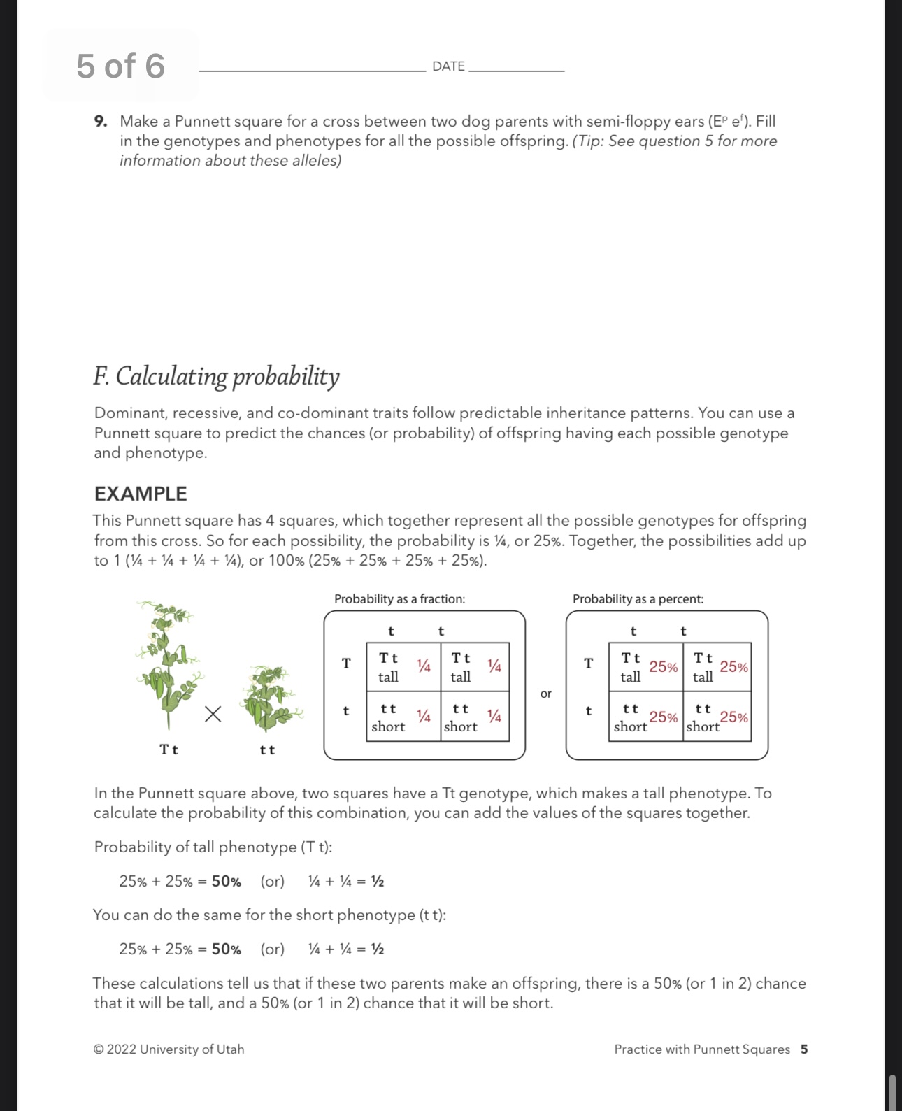 Solved Practice With Punnett Squares | Chegg.com