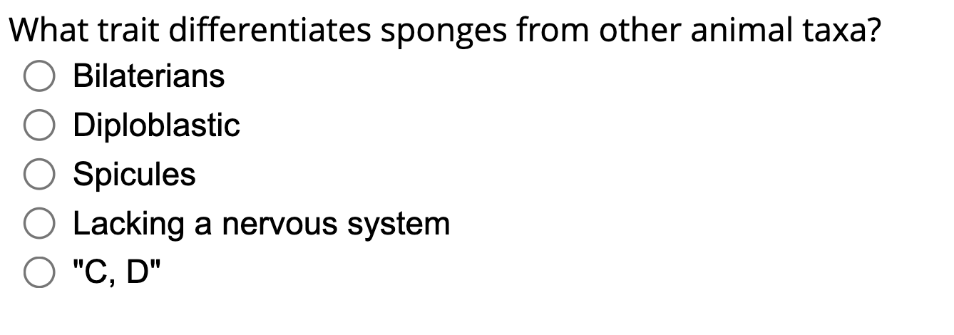 Solved What Trait Differentiates Sponges From Other Animal | Chegg.com