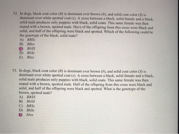 Solved 52. In Dogs, Black Coat Color (B) Is Dominant Over | Chegg.com