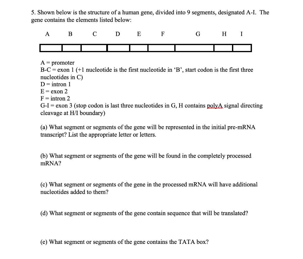 Solved 5. Shown below is the structure of a human gene, | Chegg.com