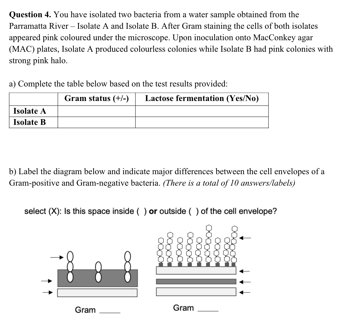 Solved Question 4. ﻿You have isolated two bacteria from a | Chegg.com